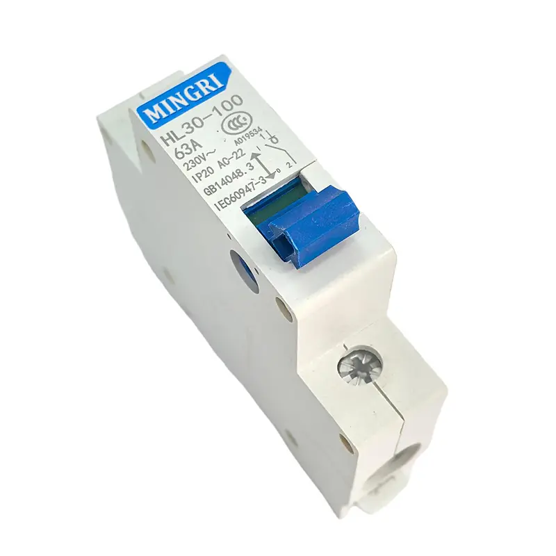 HL30-100 Isolation Switch